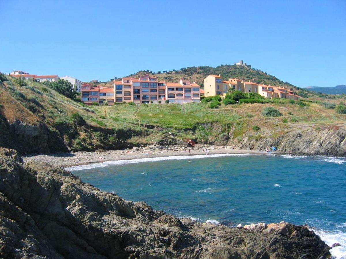 Appartement Avec Vue Sur Mer A Port Vendres 60 M² Balcons Dış mekan fotoğraf