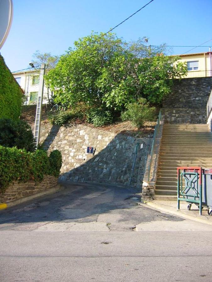 Appartement Avec Vue Sur Mer A Port Vendres 60 M² Balcons Dış mekan fotoğraf